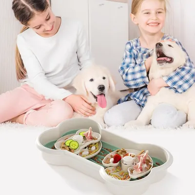 PetTribes Bol à Manger Lent pour Chien
