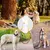 PetTribes Distributeur d'Eau pour Chien - Sans Fuite, 320ml