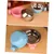 PetTribes Bols Amovibles pour Cage, Chiens et Chats