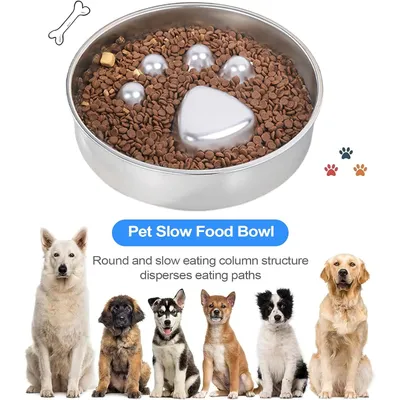 PetTribes Gamelle Anti-Glouton pour Chien - INOX Antidérapant