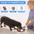 PetTribes Gamelle Anti-Glouton pour Chien - INOX Antidérapant
