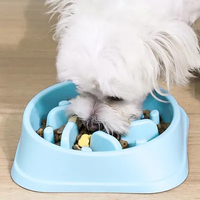 PetTribes Gamelle anti-glouton pour chien