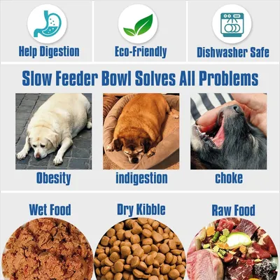 PetTribes Gamelle anti-glouton pour chien