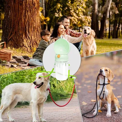 PetTribes Distributeur d'Eau pour Chien - Sans Fuite, 320ml