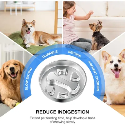 PetTribes Gamelle Anti-Glouton pour Chien - INOX Antidérapant