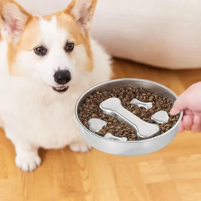 PetTribes Gamelle Anti-Glouton pour Chien - INOX Antidérapant