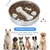 PetTribes Gamelle Anti-Glouton pour Chien - INOX Antidérapant