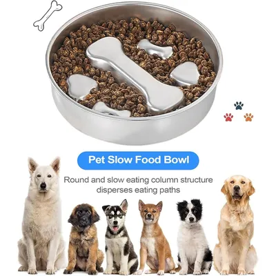 PetTribes Gamelle Anti-Glouton pour Chien - INOX Antidérapant