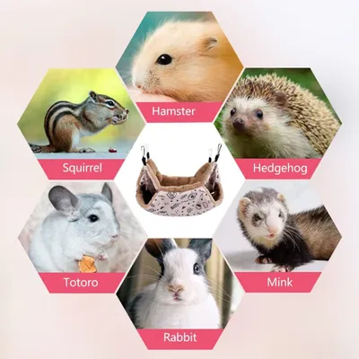 PetTribes Hamac 2 Étages pour Petit Animal - Jeu & Détente PetTribes Hamac 2 Étages pour Petit Animal - Jeu & Détente