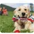 PetTribes Cinq jouets en corde pour chien - Idéal pour Noël