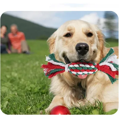 PetTribes Cinq jouets en corde pour chien - Idéal pour Noël