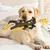 PetTribes Jouets en peluche de tir à la corde pour chiens