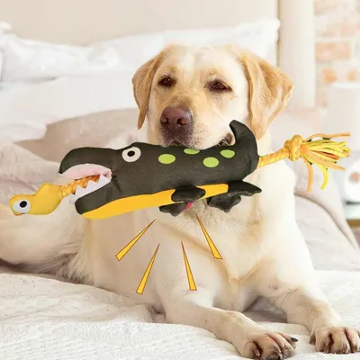 PetTribes Jouets en peluche de tir à la corde pour chiens