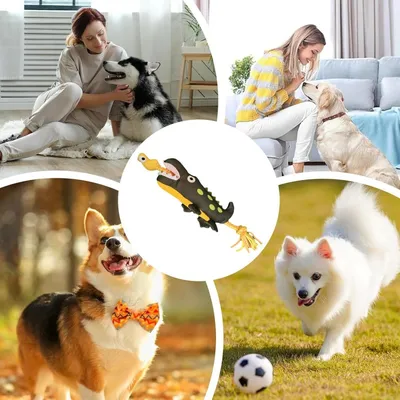 PetTribes Jouets en peluche de tir à la corde pour chiens