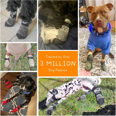 PetTribes Protègent Pattes Chien Sols Chauds/Froids L