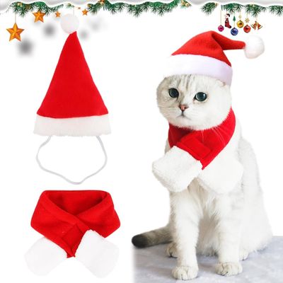 PetTribes  Bonnets et écharpes de Noël, parfaits pour les chats.