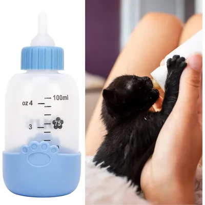 PetTribes Kit biberon pour chiot et chaton