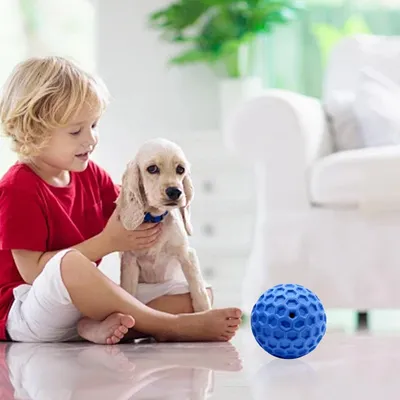 PetTribes Balle Couinante Indestructible pour Chien