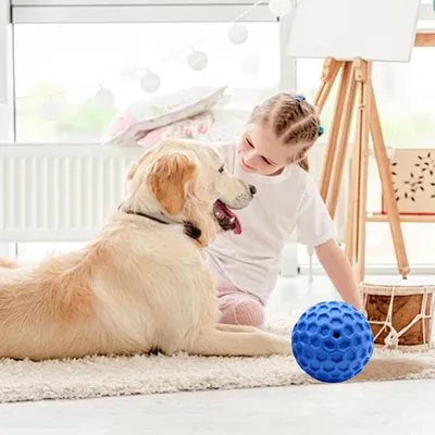 PetTribes Balle Couinante Indestructible pour Chien