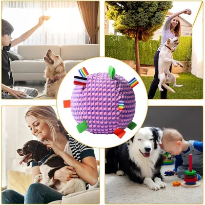 PetTribes Jouet interactif : Balle grinceuse pour chien