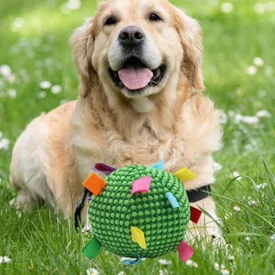 PetTribes Jouet interactif : Balle grinceuse pour chien