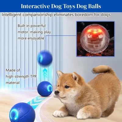 PetTribes Jouet interactif USB - Chien et chat d'intérieur