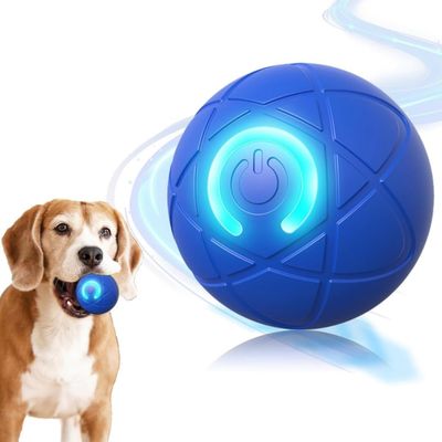 PetTribes Jouet interactif USB - Chien et chat d'intérieur