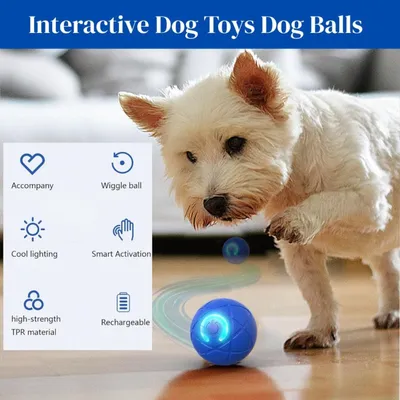 PetTribes Jouet interactif USB - Chien et chat d'intérieur