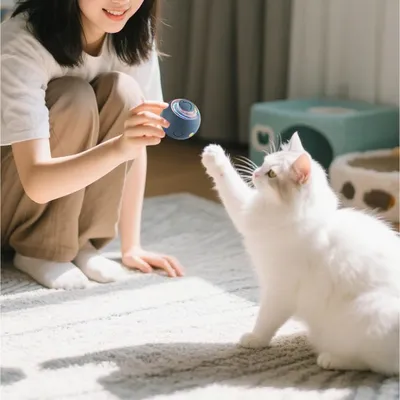 PetTribes Jouet Intelligent Lumineux pour Chien - USB, Anti-Stress