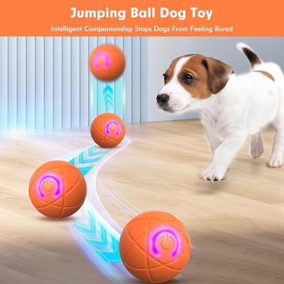 PetTribes Jouet interactif USB - Chien et chat d'intérieur