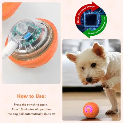 PetTribes Jouet interactif USB - Chien et chat d'intérieur