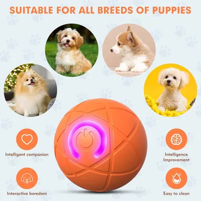 PetTribes Jouet interactif USB - Chien et chat d'intérieur