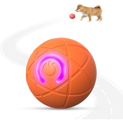 PetTribes Jouet interactif USB - Chien et chat d'intérieur