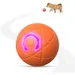PetTribes Jouet interactif USB - Chien et chat d'intérieur
