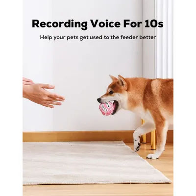 PetTribes Ballons Squeaky Souples et Rebondissants