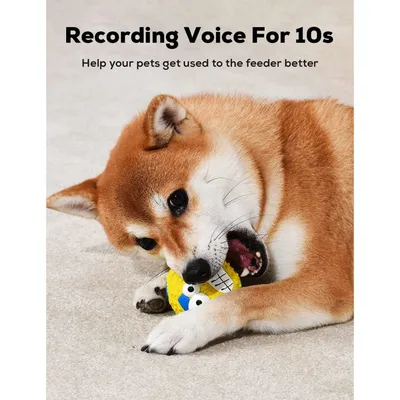 PetTribes Ballons Squeaky Souples et Rebondissants