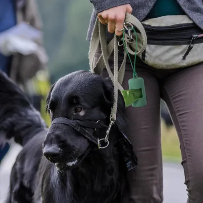 PetTribes 3 distributeurs de sacs à crottes - Léger et étanche