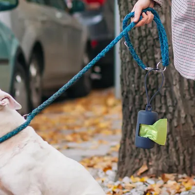 PetTribes 3 distributeurs de sacs à crottes - Léger et étanche