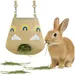 PetTribes Mangeoire suspendue pour lapin et petit animal - Pratique