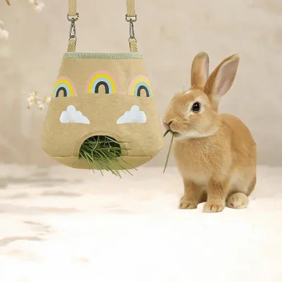 PetTribes Mangeoire suspendue pour lapin et petit animal - Pratique