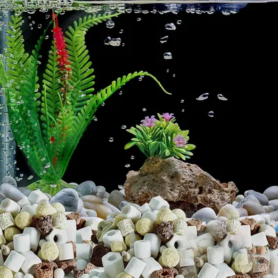PetTribes Média Filtration 12 en 1 - 500g pour Aquarium