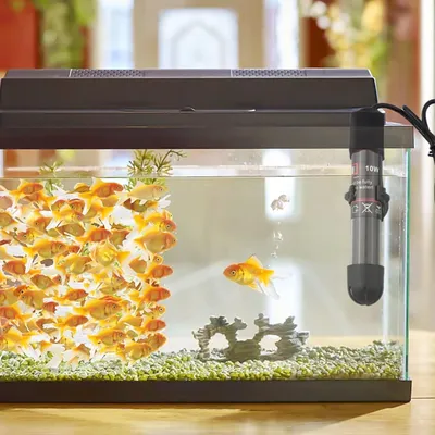 PetTribes Chauffage aquarium mini USB - Protection surchauffe