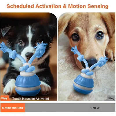 PetTribes Jeu interactif : balle qui roule seule pour chien