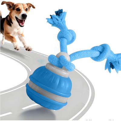 PetTribes Jeu interactif : balle qui roule seule pour chien