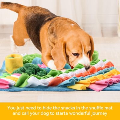 PetTribes Tapis 39x39 cm - Jeu Interactif pour Chien et Chat
