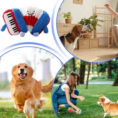 PetTribes Jouet Chien Pliable et Siffant - Divertissement garanti