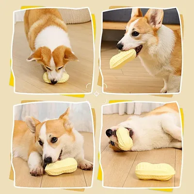 PetTribes Jouet à mâcher cacahuète pour petits et moyens chiens