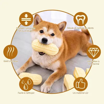 PetTribes Jouet à mâcher cacahuète pour petits et moyens chiens