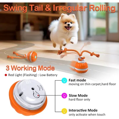 PetTribes Balle interactive auto-roulante pour tous chiens