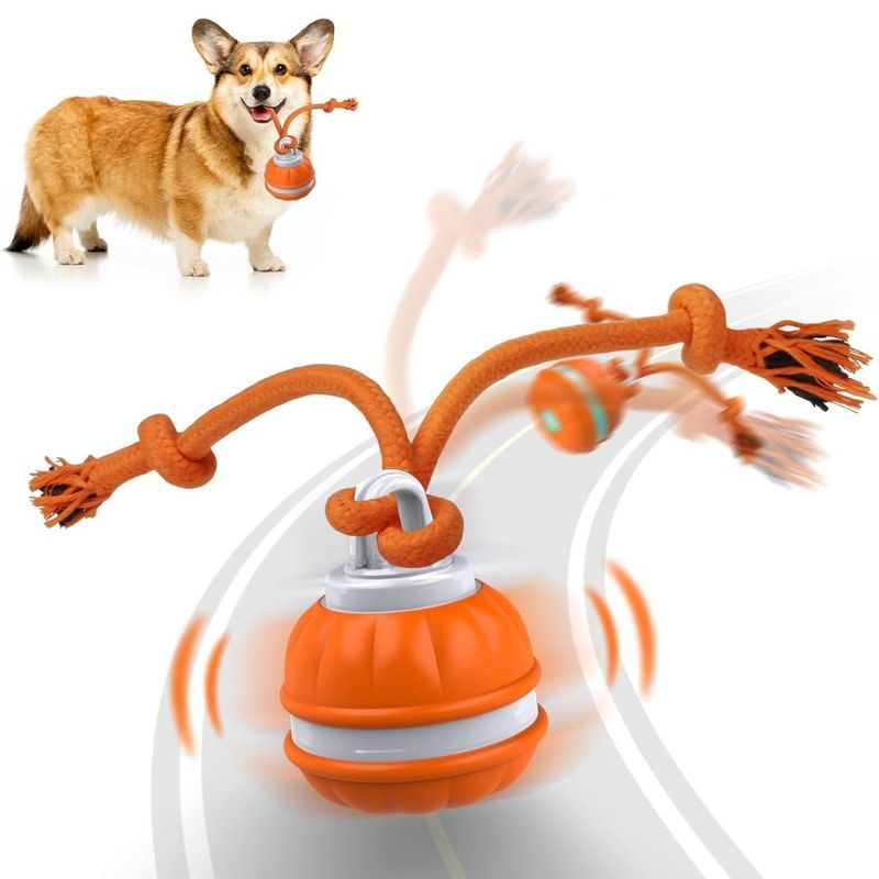 PetTribes Balle interactive auto-roulante pour tous chiens